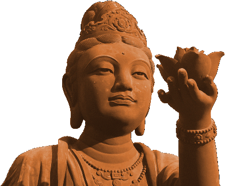 Reiki 2 cursusbijdrage